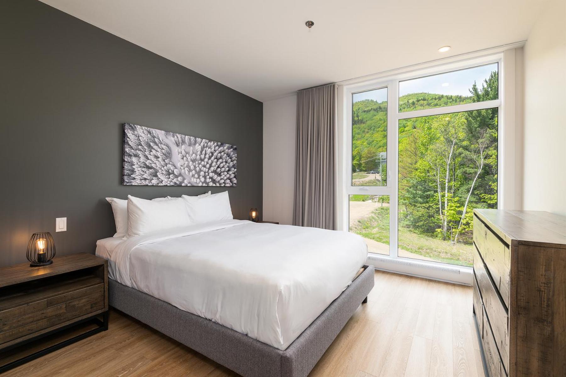Les Appartements Du Massif De Charlevoix Petite-Riviere-Saint-Francois Bilik gambar